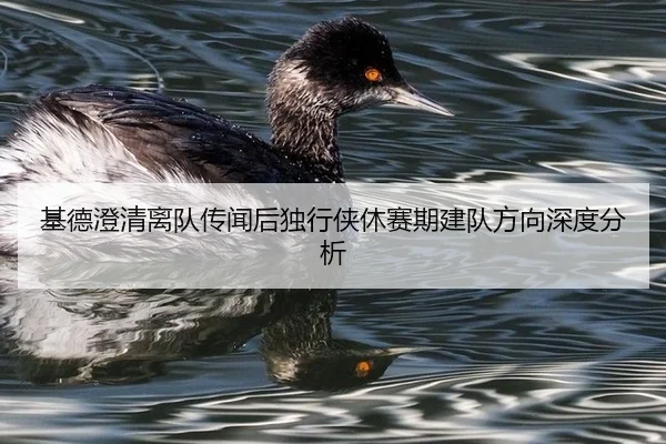 基德澄清离队传闻后独行侠休赛期建队方向深度分析